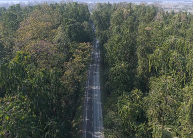 Aerial Drone View of Motorcyclists Riding Through Forest Road in Nagaland, India