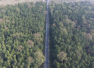 Aerial Drone View of Motorcyclists Riding Through Forest Road in Nagaland, India