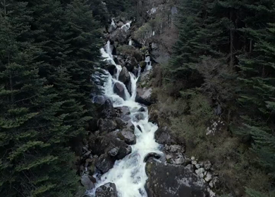 Aerial View of Mountain River Through Pine Forest in Tawang Arunachal Pradesh
