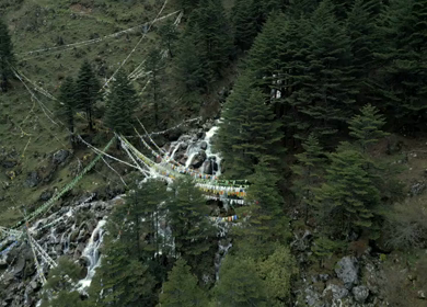 Aerial View of Mountain River Through Pine Forest in Tawang Arunachal Pradesh