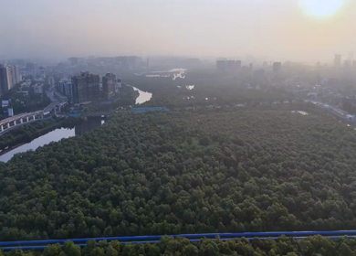Aerial View of Mumbai Mangroves and Urban Skyline at Sunrise India