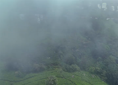 Aerial View of Munnar Town Surrounded by Tea Plantations and Western Ghats, Kerala, India