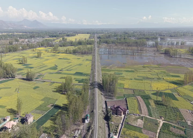 Aerial View of Pampore Farmland with Railway Track Srinagar Kashmir