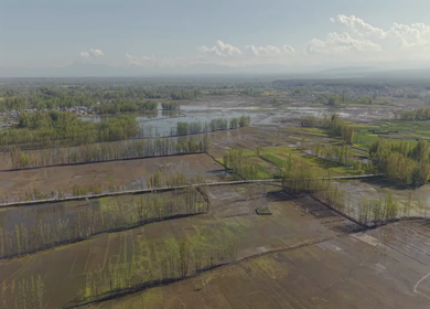 Aerial View of Pampore Farmland with Railway Track Srinagar Kashmir