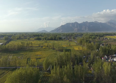 Aerial View of Pampore Farmland with Railway Track Srinagar Kashmir