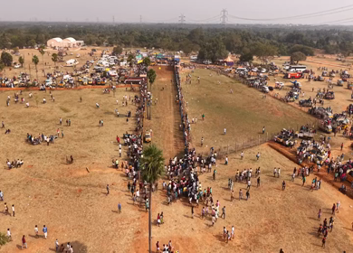 17th January 2026 : Aerial View of Participants Catching Bull at Siravayal Manjuvirattu Festival Tamil Nadu