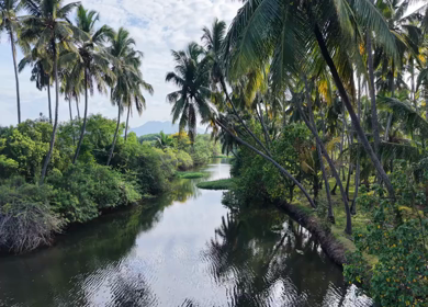 Aerial View of Poovar Beach and Backwater Confluence Kerala India
