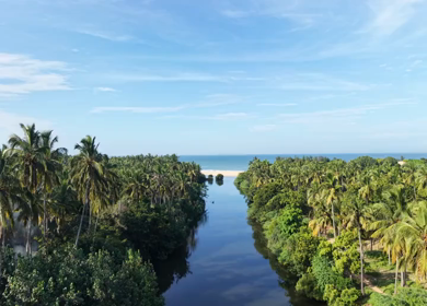 Aerial View of Poovar Beach and Backwater Confluence Kerala India
