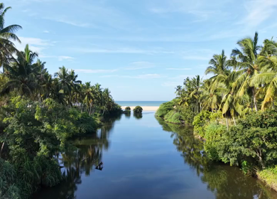 Aerial View of Poovar Beach and Backwater Confluence Kerala India