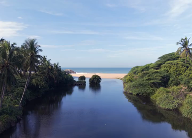 Aerial View of Poovar Beach and Backwater Confluence Kerala India