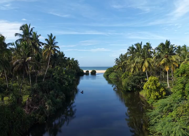 Aerial View of Poovar Beach and Backwater Confluence Kerala India