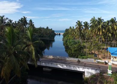 Aerial View of Poovar Beach and Backwater Confluence Kerala India
