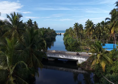 Aerial View of Poovar Beach and Backwater Confluence Kerala India