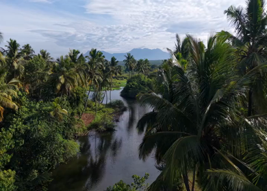Aerial View of Poovar Beach and Backwater Confluence Kerala India