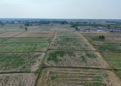 Aerial View of Pulyal Manjuvirattu Bull Taming Festival in Tamil Nadu India