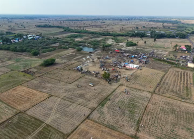 Aerial View of Pulyal Manjuvirattu Bull Taming Festival in Tamil Nadu India