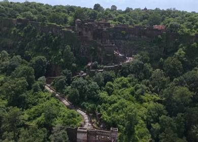 Aerial View of Ranthambore Fort and Lush Landscape Rajasthan