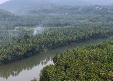 Aerial View of Winding River Through Dense Coconut Palm Groves in Honnavar, Karnataka, India