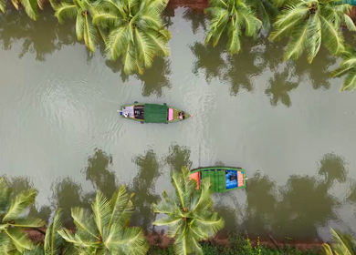 Aerial View of Winding River Through Dense Coconut Palm Groves in Honnavar, Karnataka, India