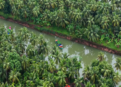 Aerial View of Winding River Through Dense Coconut Palm Groves in Honnavar, Karnataka, India