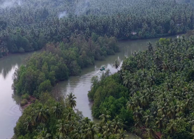 Aerial View of Winding River Through Dense Coconut Palm Groves in Honnavar, Karnataka, India