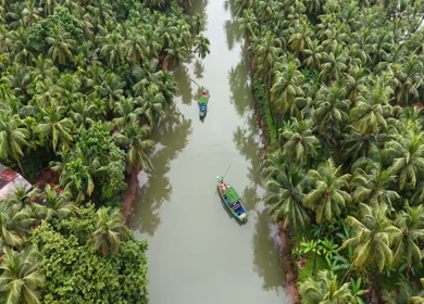 Aerial View of Winding River Through Dense Coconut Palm Groves in Honnavar, Karnataka, India