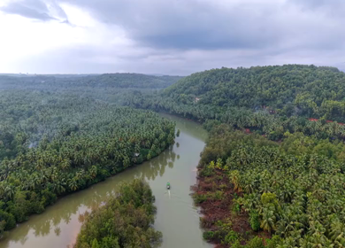 Aerial View of Winding River Through Dense Coconut Palm Groves in Honnavar, Karnataka, India