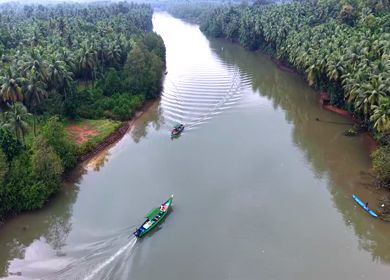 Aerial View of Winding River Through Dense Coconut Palm Groves in Honnavar, Karnataka, India