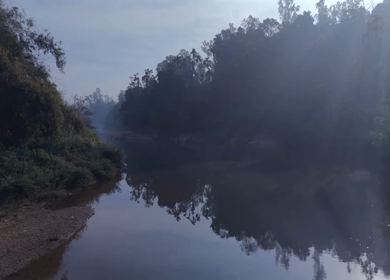 Aerial View of River and Forest Landscape Near Pune Maharashtra India
