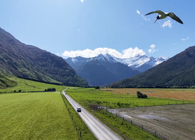 Aerial View of Road to Rob Roy Glacier Through Mount Aspiring Valley New Zealand