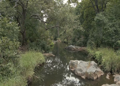 Aerial View of Rocky Stream and Lush Forest Landscape Pratapgarh Rajasthan India