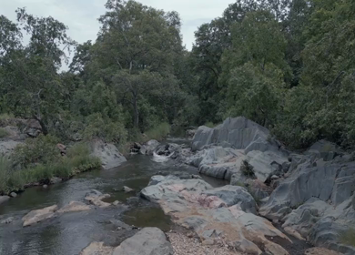 Aerial View of Rocky Stream and Lush Forest Landscape Pratapgarh Rajasthan India