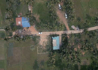 Aerial View of Rural Village with Coconut Palm Trees Visakhapatnam Andhra Pradesh India
