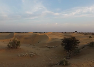 Aerial View of Sam Sand Dunes and Desert Landscape Jaisalmer