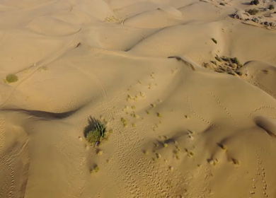 Aerial View of Sam Sand Dunes and Desert Landscape Jaisalmer