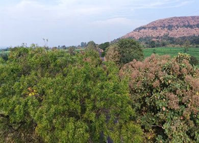 Aerial View of Samruddhi Mahamarg Through Rural Maharashtra, India