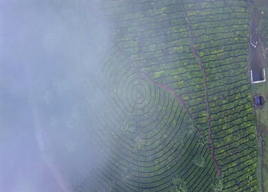 Aerial View of Scenic Mountain Roads and Tea Plantations in Munnar, Kerala, India
