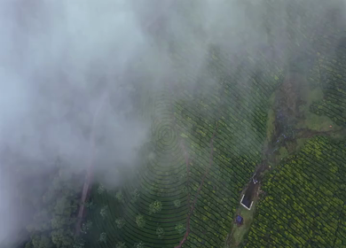 Aerial View of Scenic Mountain Roads and Tea Plantations in Munnar, Kerala, India