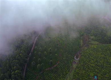 Aerial View of Scenic Mountain Roads and Tea Plantations in Munnar, Kerala, India