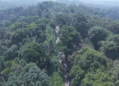 Aerial View of Scenic Mountain Roads and Tea Plantations in Munnar, Kerala, India