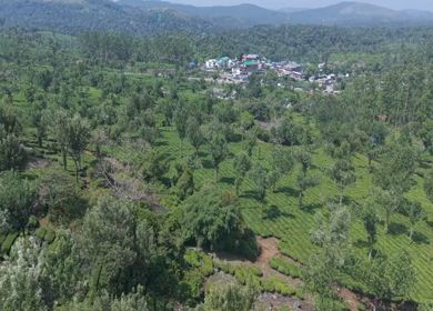 Aerial View of Scenic Mountain Roads and Tea Plantations in Munnar, Kerala, India