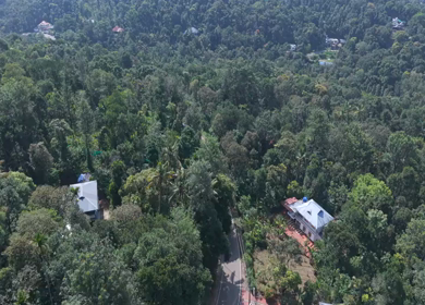 Aerial View of Scenic Mountain Roads and Tea Plantations in Munnar, Kerala, India