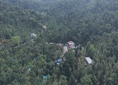 Aerial View of Scenic Mountain Roads and Tea Plantations in Munnar, Kerala, India