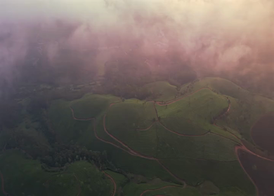 Aerial View of Scenic Mountain Roads and Tea Plantations in Munnar, Kerala, India