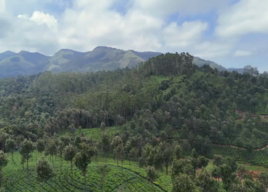 Aerial View of Scenic Mountain Roads and Tea Plantations in Munnar, Kerala, India