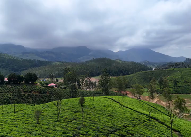 Aerial View of Scenic Mountain Roads and Tea Plantations in Munnar, Kerala, India