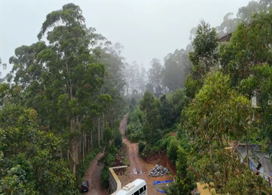 Aerial View of Scenic Mountain Roads and Tea Plantations in Munnar, Kerala, India