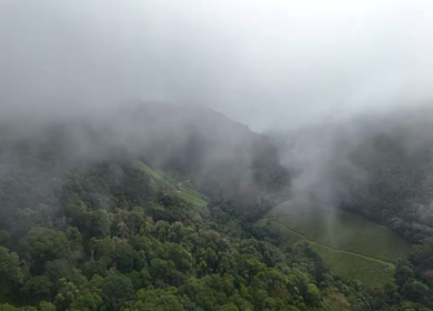 Aerial View of Scenic Mountain Roads and Tea Plantations in Munnar, Kerala, India