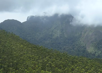 Aerial View of Scenic Mountain Roads and Tea Plantations in Munnar, Kerala, India