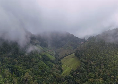 Aerial View of Scenic Mountain Roads and Tea Plantations in Munnar, Kerala, India